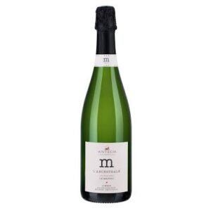 M l'Ancestrale Blanquette - Famille Antech